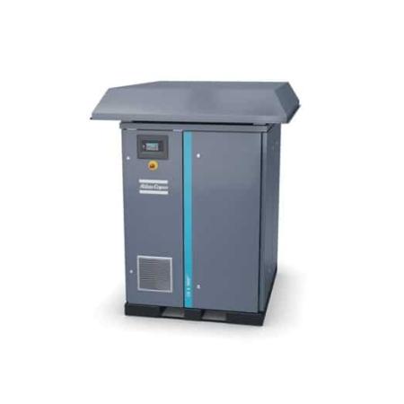 Oil-free screw blowers